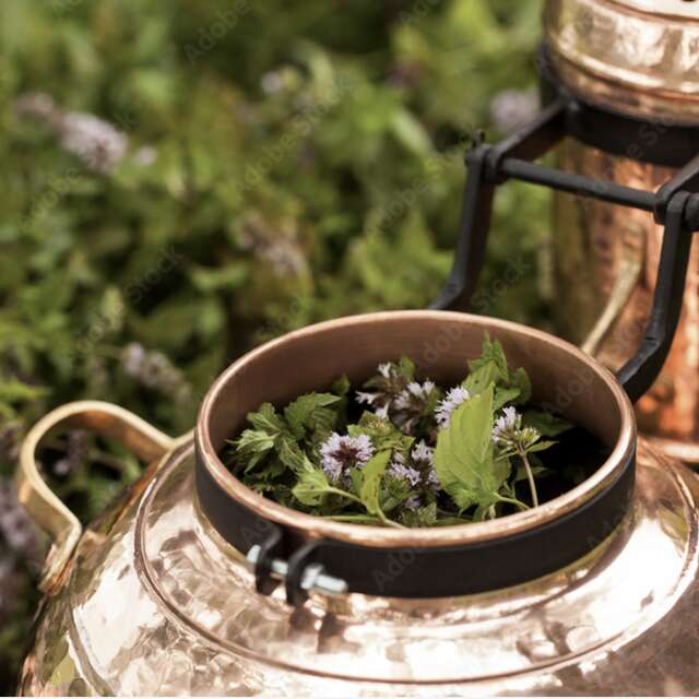 Initiation à la distillation de plantes aromatiques et médicinales