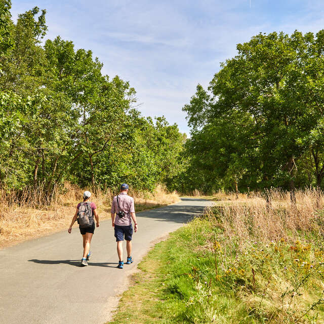 The Aprilis trail