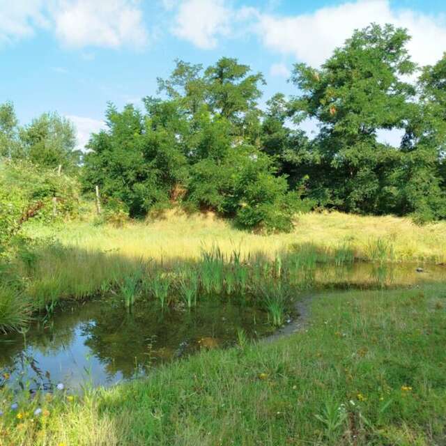 Chantier nature à l’ecopôle du Val d’Allier