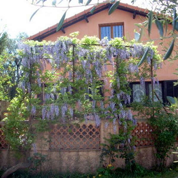 Le Domaine de Créqui