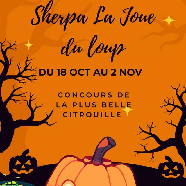 Concours de décoration de citrouilles