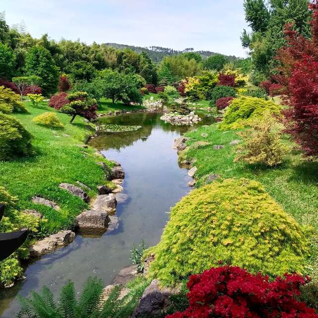Visites exclusives du jardin d’inspiration japonaise « Le Vallon du Dragon »
