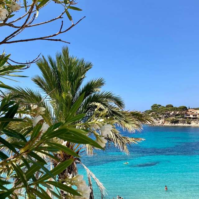 Plage de Renecros / Die Bucht von Renecros