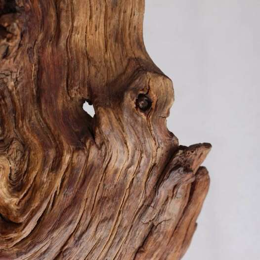Exposition Tiboutdebois