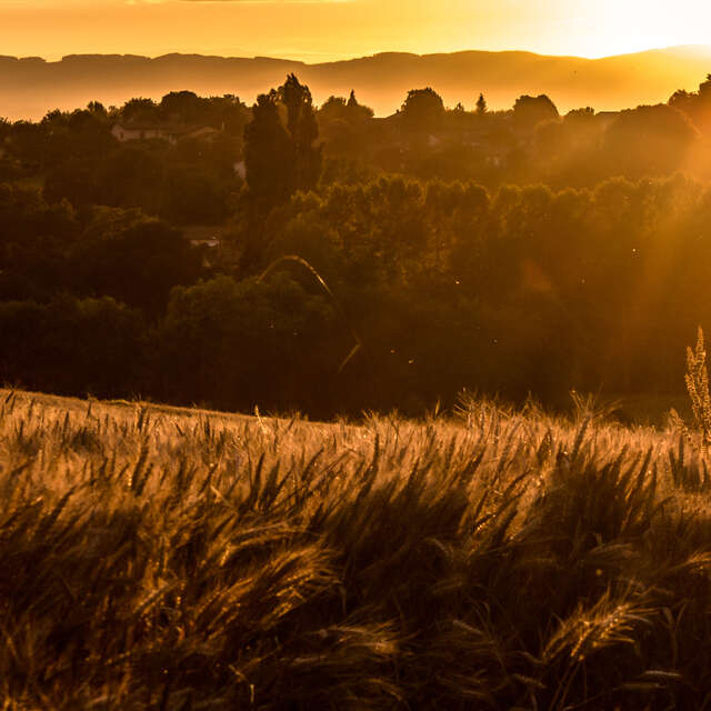 Circuit "Le Chemin du Curé d'Ars"