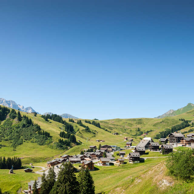 Trail route 26 green : Les Crosets - Chaux Palin