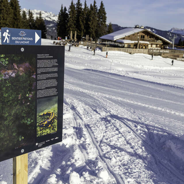 Besuch der Ausstellung „Detail des Lebens“ in Lachat