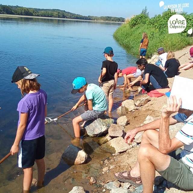 Pêche des petites bêtes avec Loire Odyssée