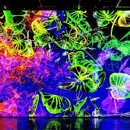 Exposition : Digital Floralia de Miguel Chevalier