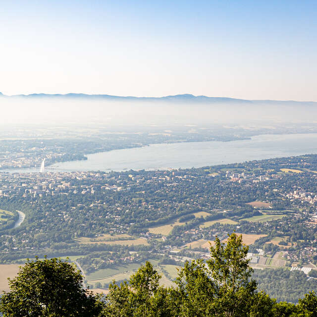 Between Salève and Geneva
