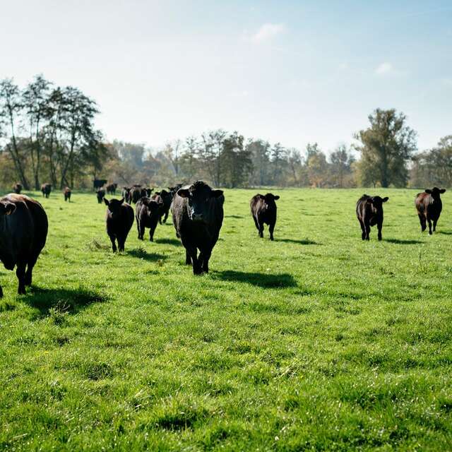 Ferme du Trèfle, les coulisses de l'innovation