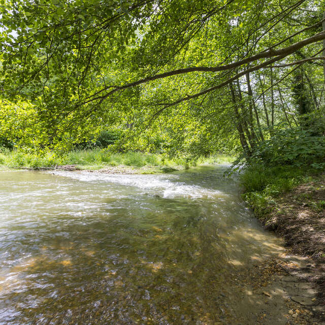 The river of pebbles