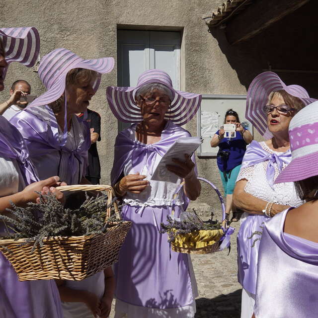 29 ème Fête de la lavande
