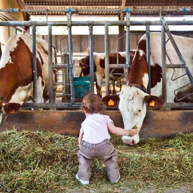 De ferme en ferme dans le Forez