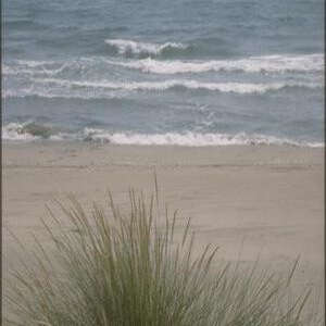 Plage La Brise de Mer