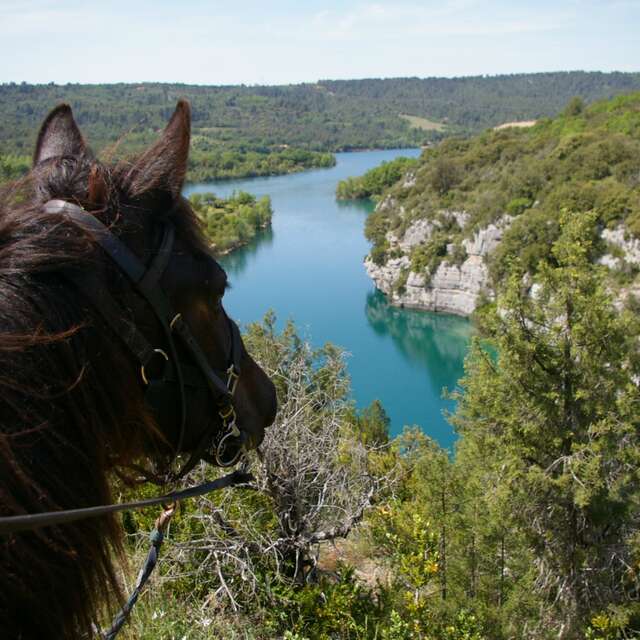 Randonnée équestre les gorges une journée