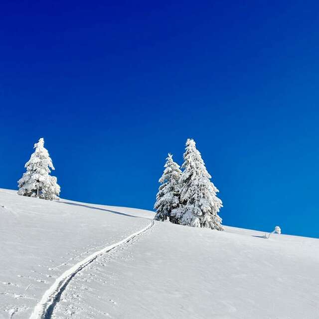 Col de cou en Hiver