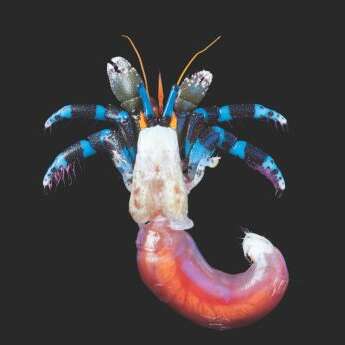 Exposition : Océan, une plongée insolite