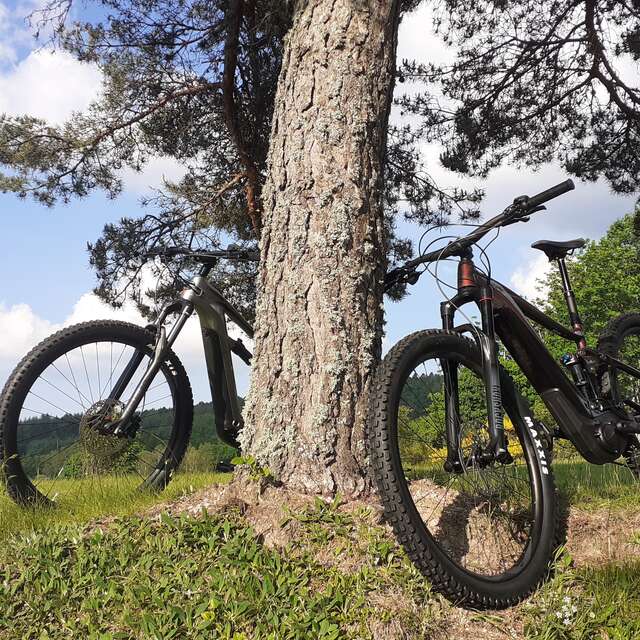 École de pilotage, Rando moto et VTT AE - Greg Fayard