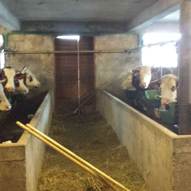 Ferme de la Gardette