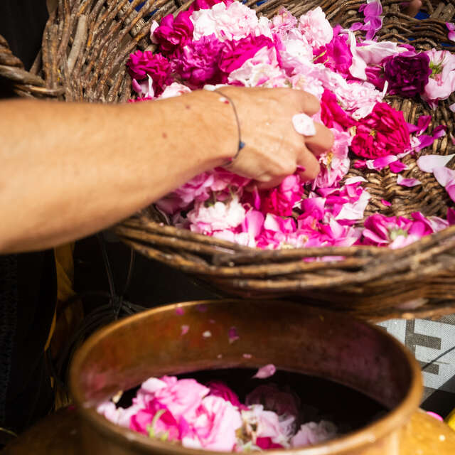 Le Val des roses