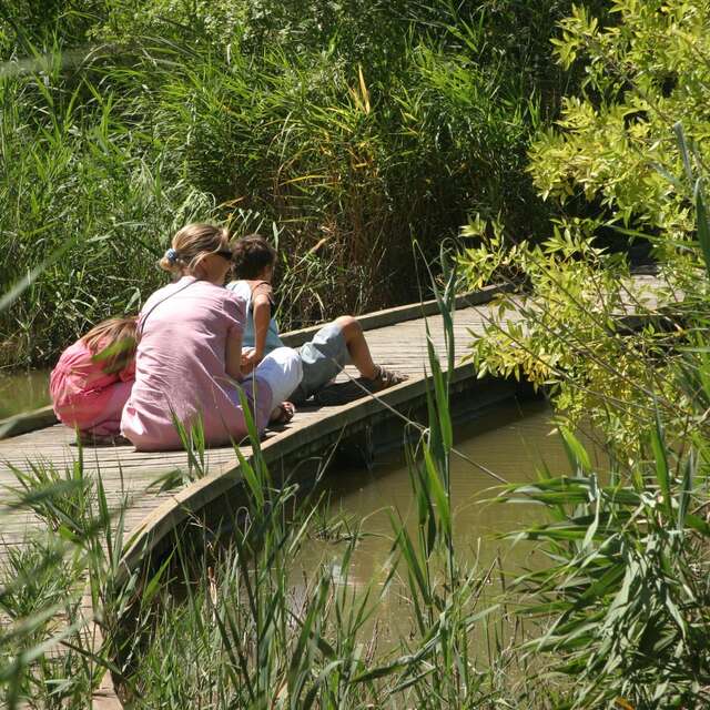 Marais du Vigueirat