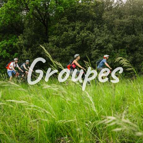 Reliefs et Nature - Rando et Vélo en Cévennes