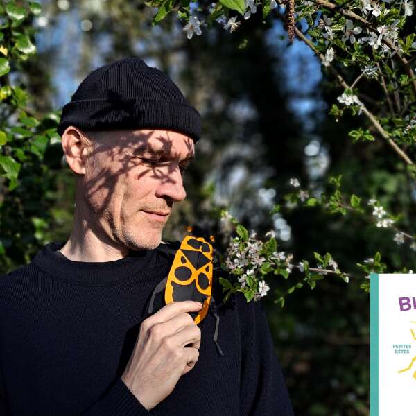 Atelier Illustration - Les insectes, qui s'en tamponne ?