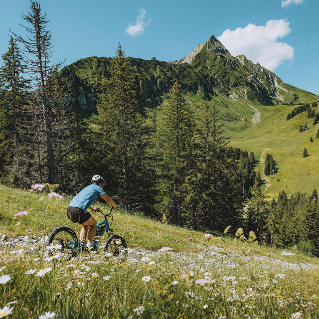 Trottinette de descente