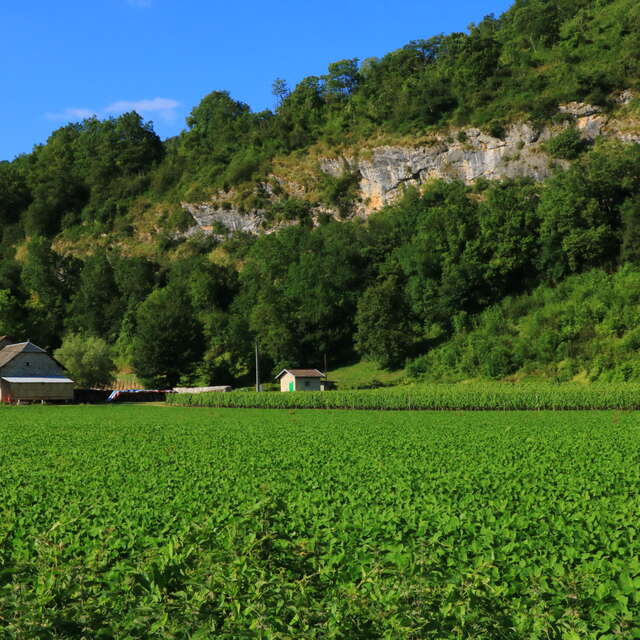 Circuit de randonnée pédestre : La Montagne de Saint-Benoit