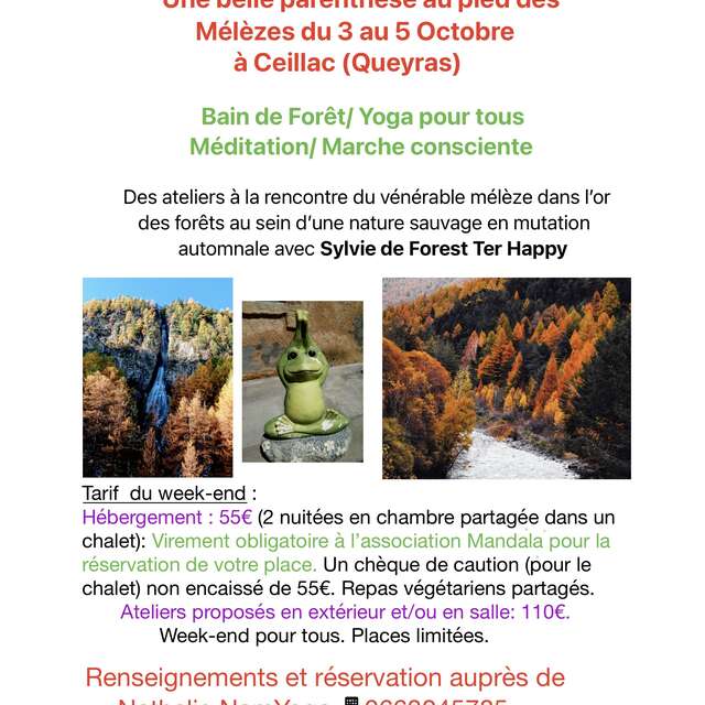 Parenthèse au pied des mélèzes