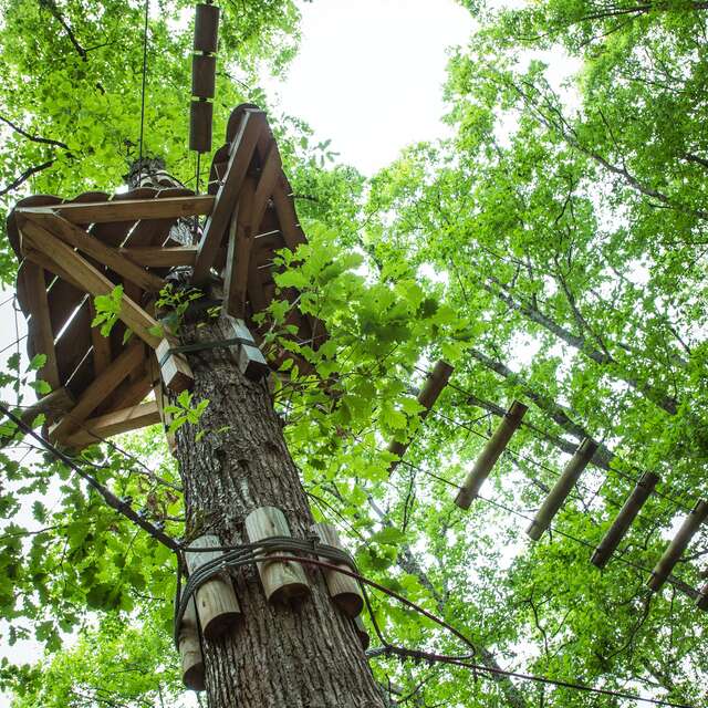 Accrobranche "Agrip Aventure"