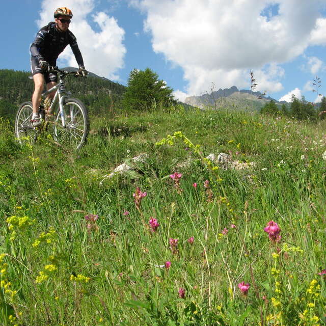 VTT & VTT à Assistance Électrique - La Tribu Rando de Seb