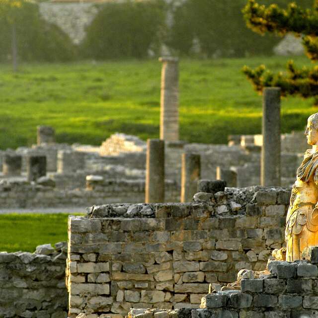 Le parc archéologique