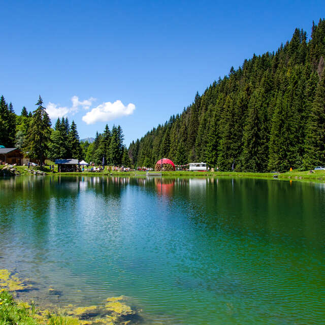 Fishing contest at Plan Désert lake