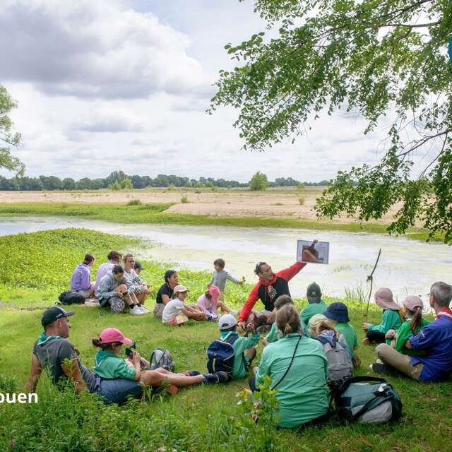 Nature awakening outing for children aged 6 and over with Loire Odyssée in ST Remy la Varenne