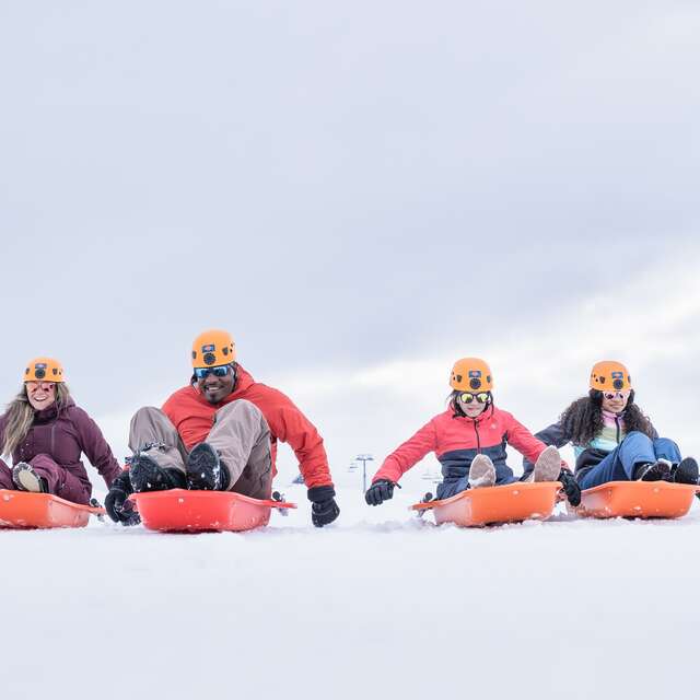 Luge'N'Troll