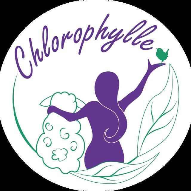 Sortie nature sur les oiseaux - journée mondiale des zones humides