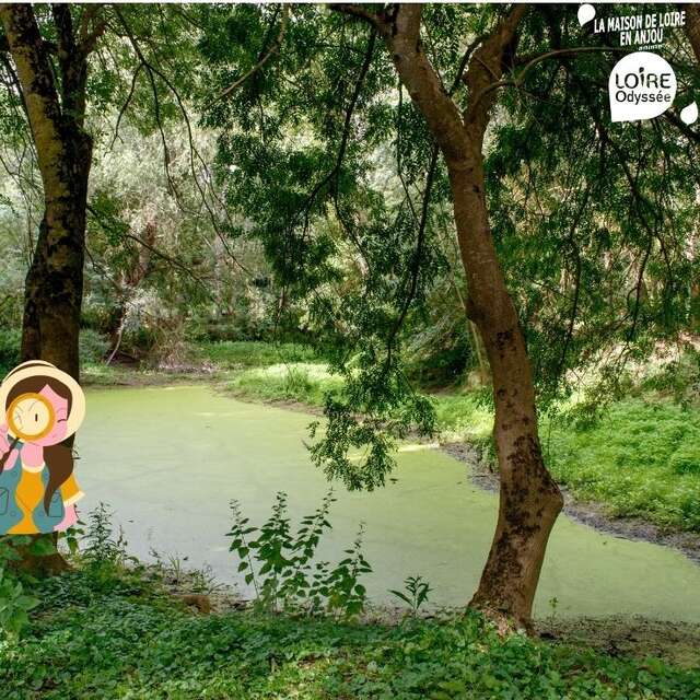 Petit naturaliste de Loire - La Loire, un curieux terrain de jeu de pistes