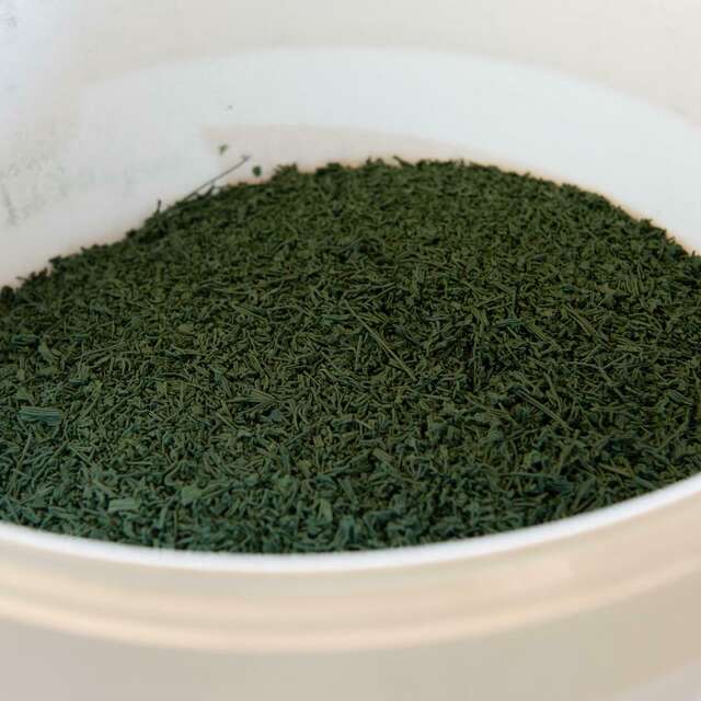 Conférence sur la spiruline