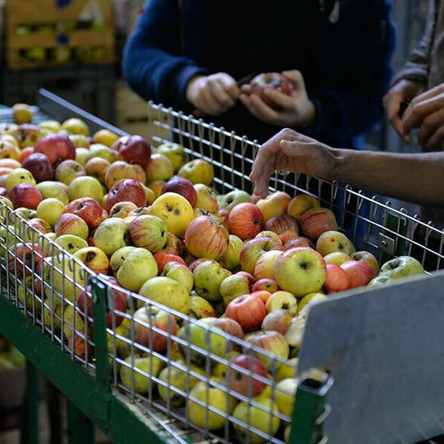 Fête du jus de pomme et de l'agriculture