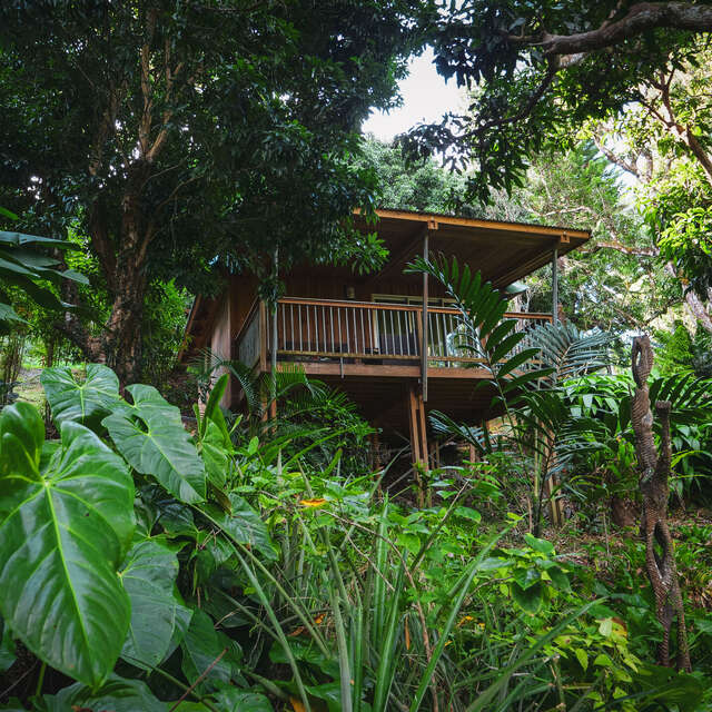 Gîte Ka Waboana Lodge