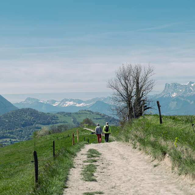 Circuit pédestre des Crêtes - 3h - Départ Office de Tourisme