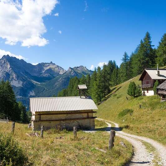 Mélèze remarquable de Bramousse