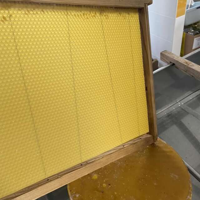Le miel et les abeilles, un monde fascinant