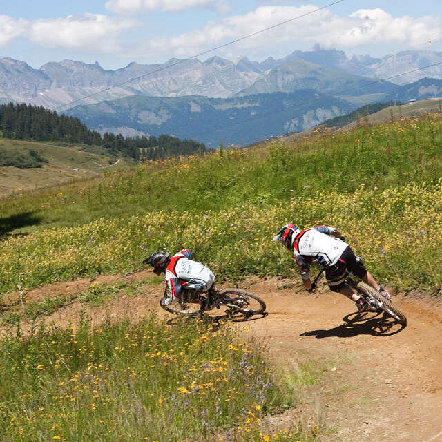 Downhill MTB - La Cornifle
