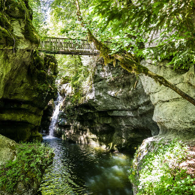 Le sentier du Cozon