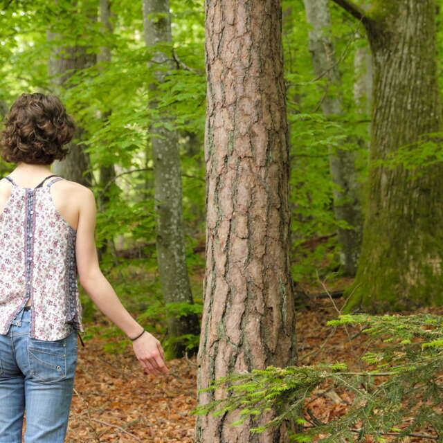Améliorez votre bien-être intérieur grâce à une immersion nature - niveau débutant
