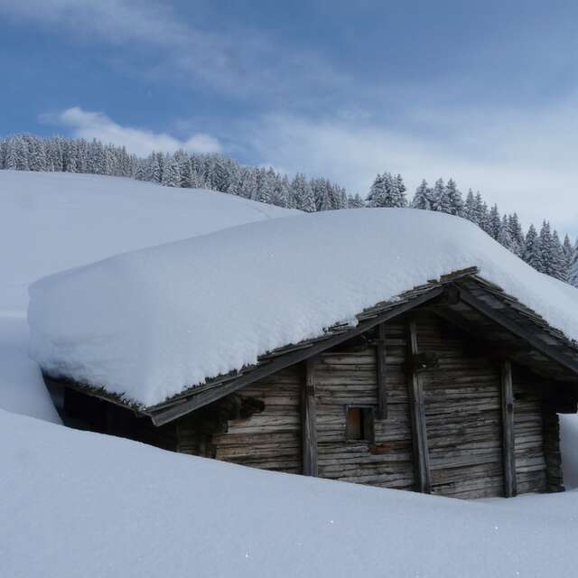 Sortie raquettes à neige  Alpages enneigés du Mont Bisanne