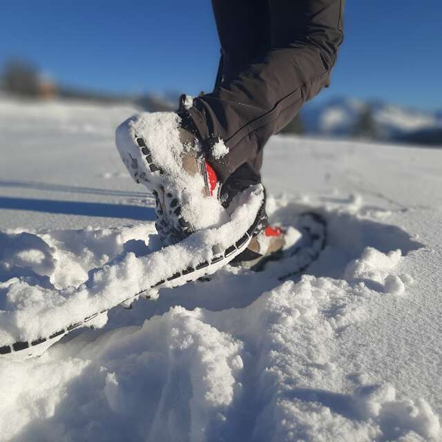 Helen's trails